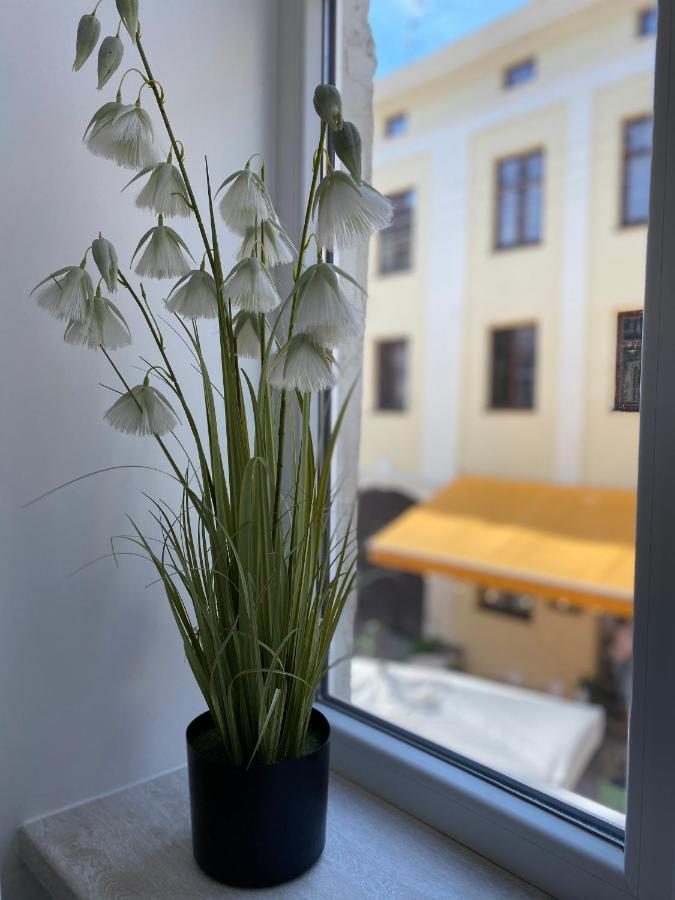 Homelike Apartment ลวีฟ ภายนอก รูปภาพ